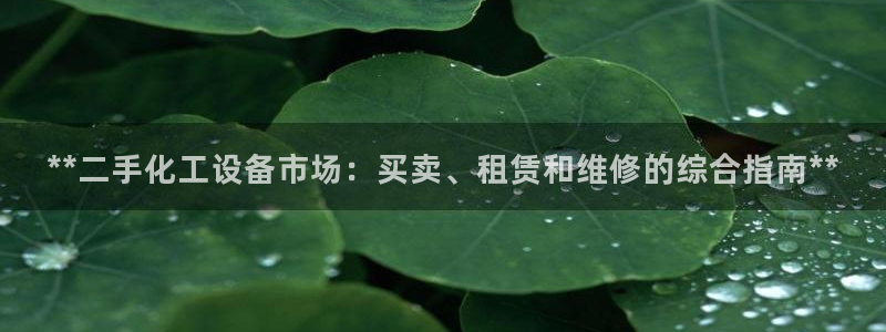 新宝gg创造奇迹平台登录入口