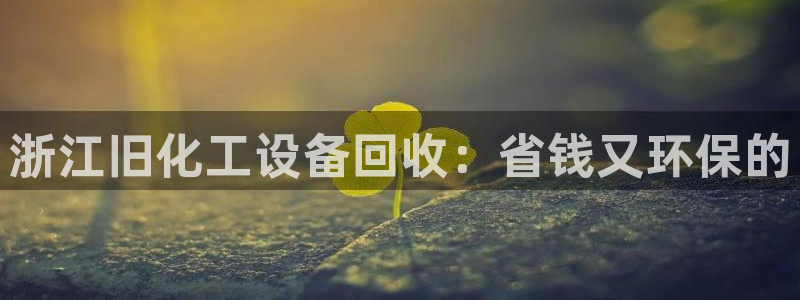 新宝gg游戏首页