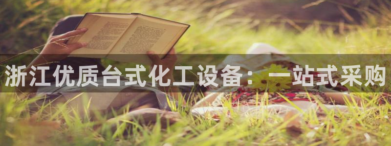 新宝gg平台登录手机版