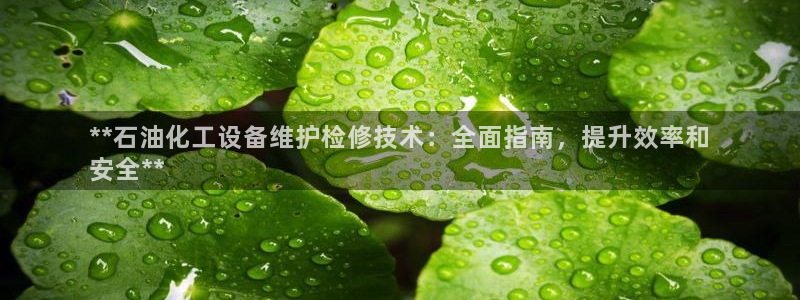 新宝gg创造奇迹怎么登录不上去