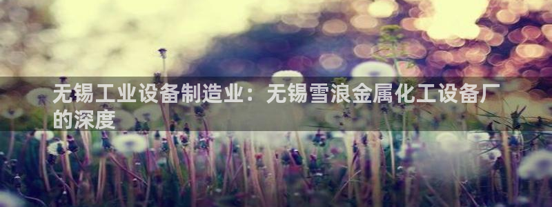 新宝GG创造奇迹