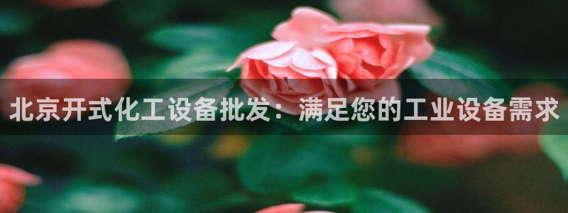 新宝gg手机版登录官网