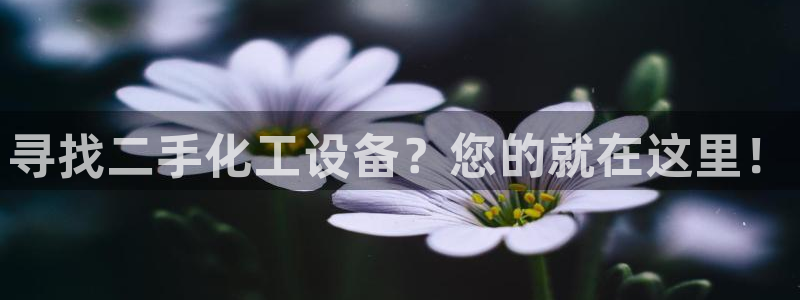 新宝GG平台开户