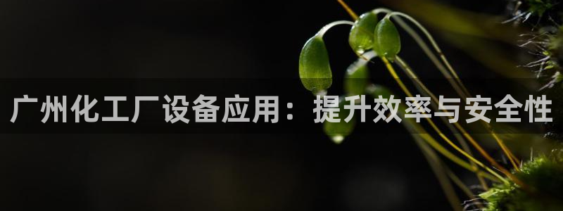 新宝gg一创造奇迹登陆新