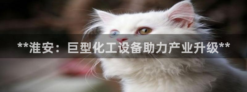 新宝gg登录测速中心