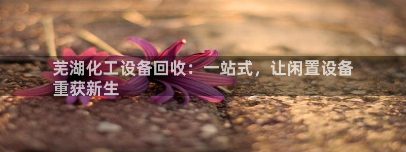 新宝GG平台招商
