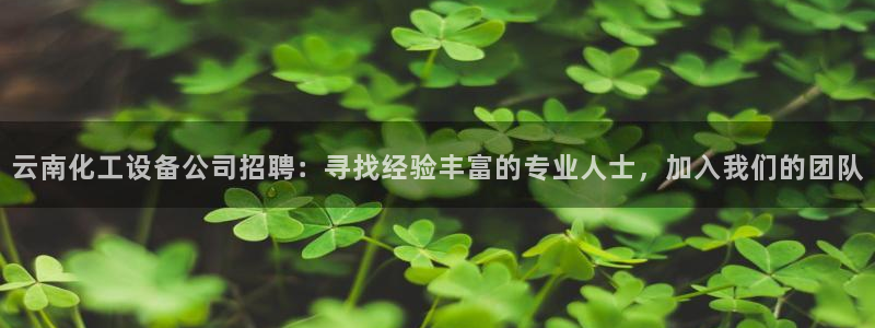 新宝gg平台