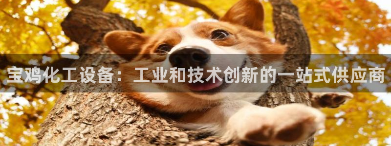 新宝gg游戏首页