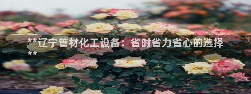 新宝一gg测速
