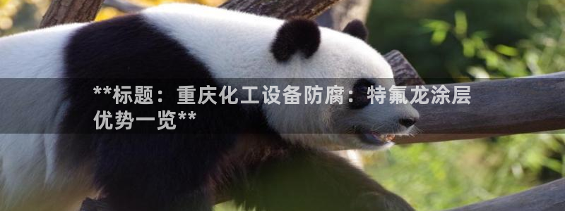 新宝gg注册网址