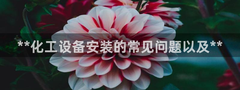 新宝gg—创造奇迹登录1956