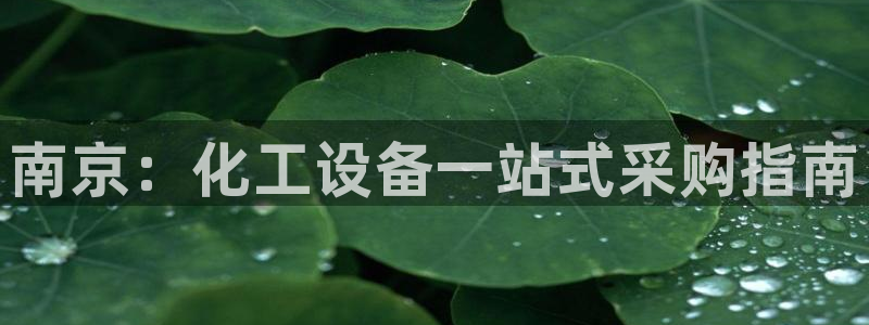 新宝gg官网登录地址