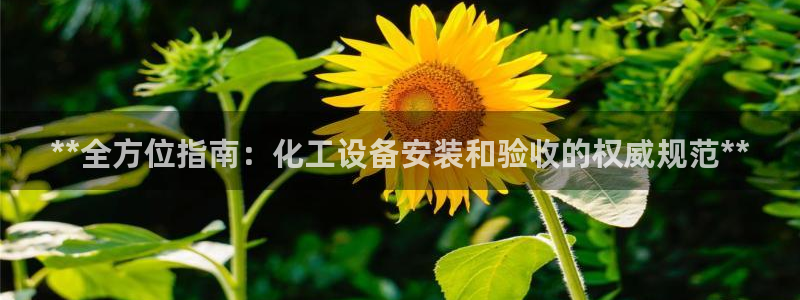 新宝gg创造奇迹登录