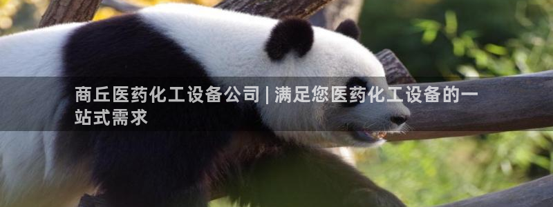 新宝gg—创造奇迹登录