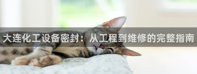 新宝gg创造奇迹登录注册优势