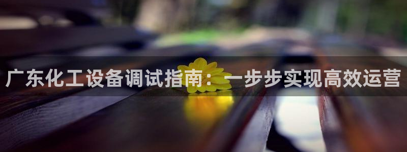 新宝gg真的能赚钱么