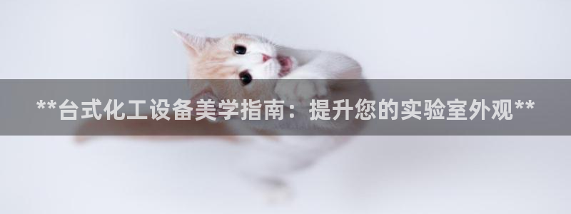 新宝gg一创造奇迹登陆新