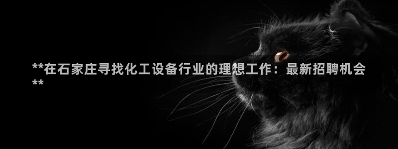新宝gg平台—创造奇迹