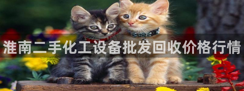 新宝gg官网登录找代理