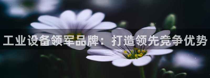 新宝gg创造奇迹登录入口网址