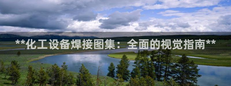 新宝gg手机版登录官网
