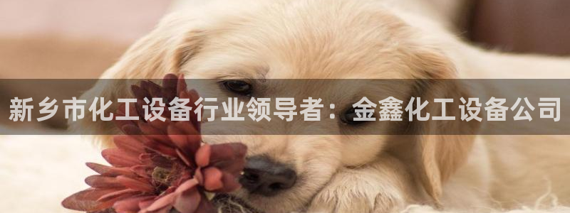 新宝GG创奇迹