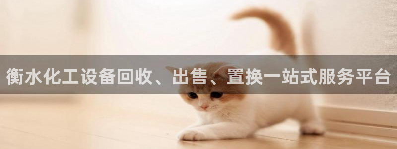 新宝gg最简单登录方法