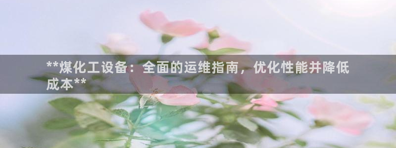 新宝gg—创造奇迹官网登录：**煤化工设备：全面的