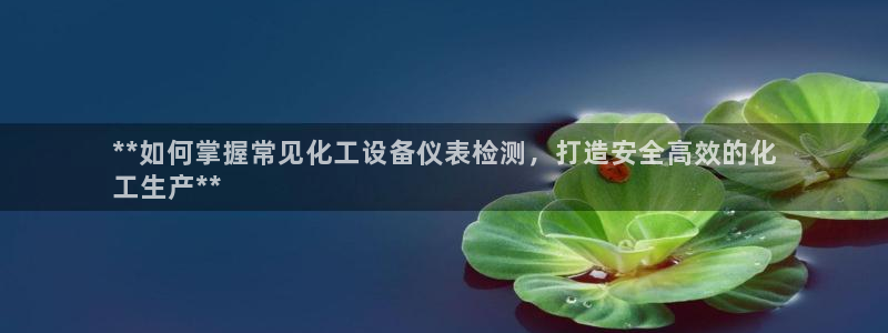 新宝gg—创造奇迹登录官网：**如何掌握常见化工设备仪表检测
