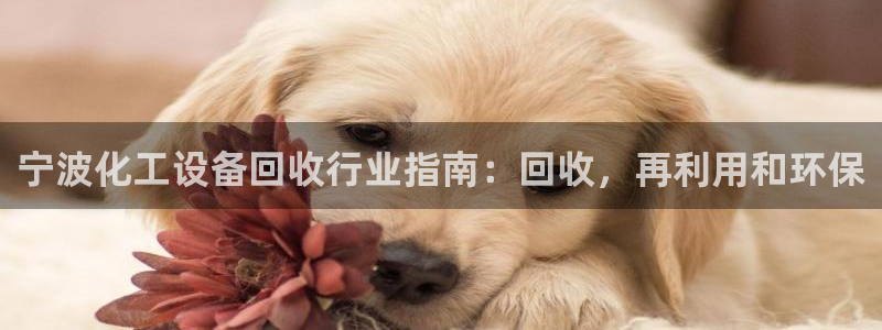 新宝gg 创造奇迹