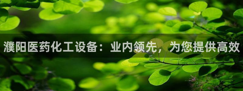 新宝gg一创造奇迹用户登录