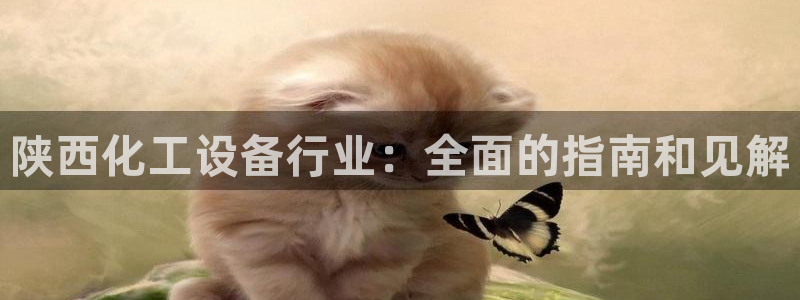 新宝gg一创造奇迹代理测速：陕西化工设备行业：全面