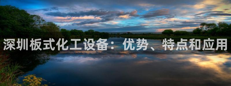 新宝gg创造奇迹为什么登录不了了：深圳板式化工设备