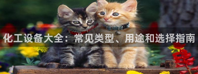 新宝gg创造奇迹平台怎么样