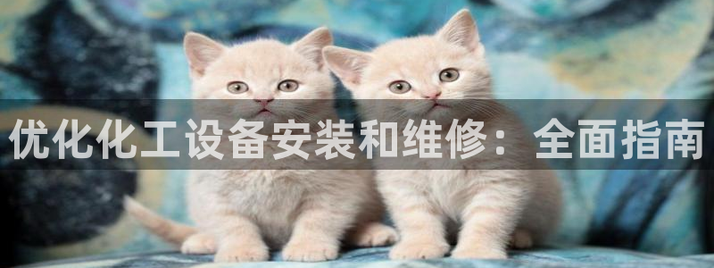 新宝gg创造奇迹为什么登录不了了