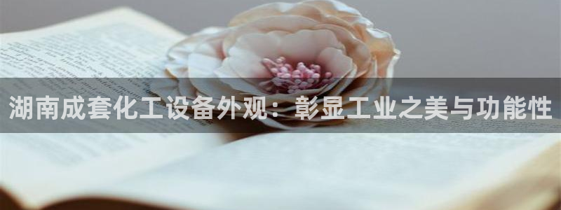 新宝gg手机版登录官网