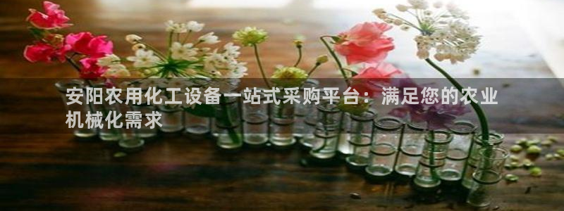 新宝gg招商主管