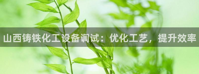 新宝gg一创造奇迹代理测速