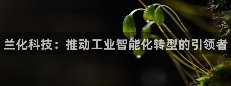 新宝gg登录入口：兰化科技：推动工业智能化转型的引