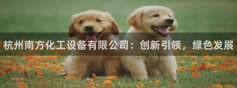 新宝gg官方注册1956